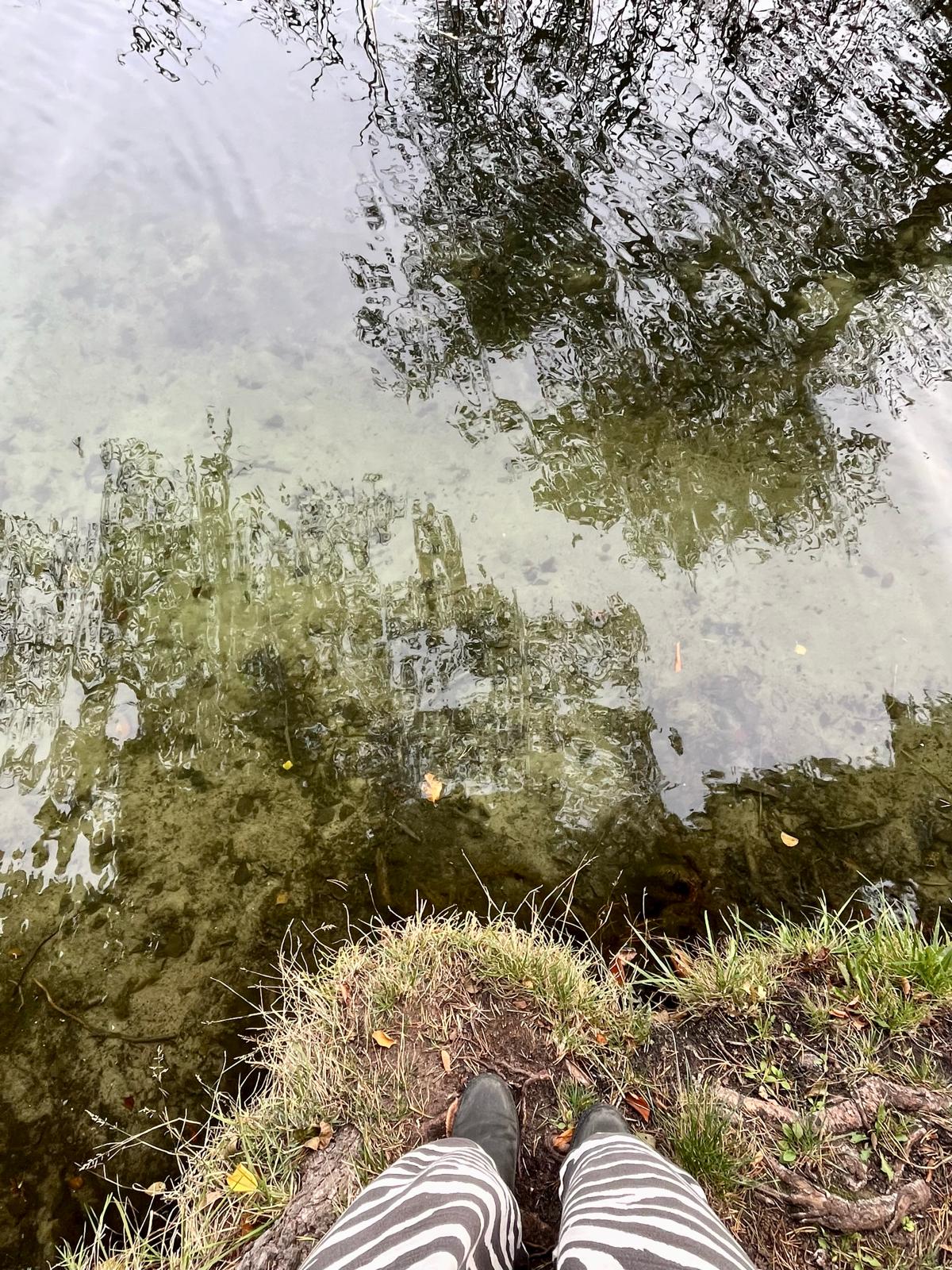 Ich richte mich aus-Seminar